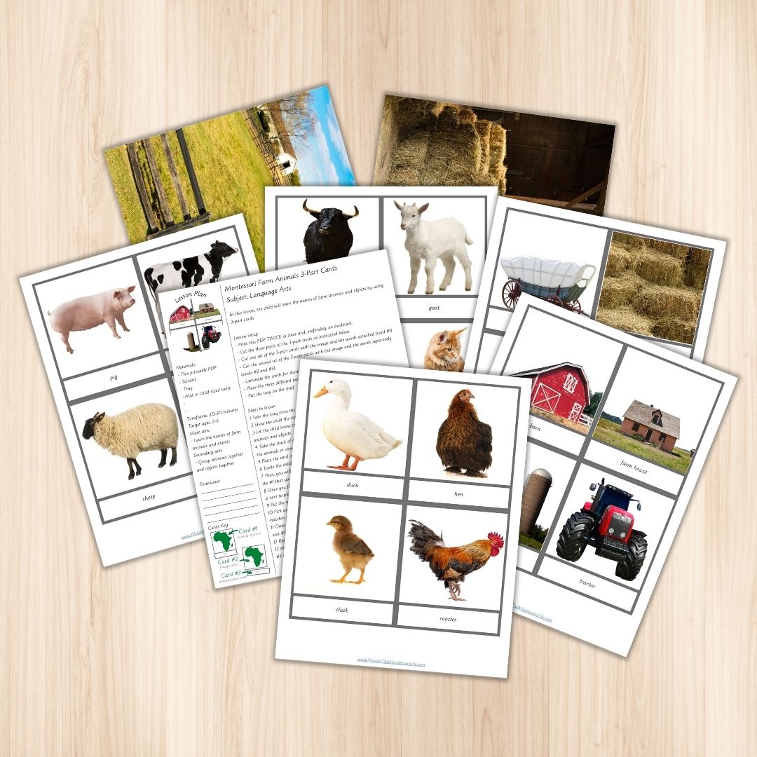 Montessori Language Arts Farm Animals 3-Part Cards + Lesson Plan - Master  the Montessori Life Shop