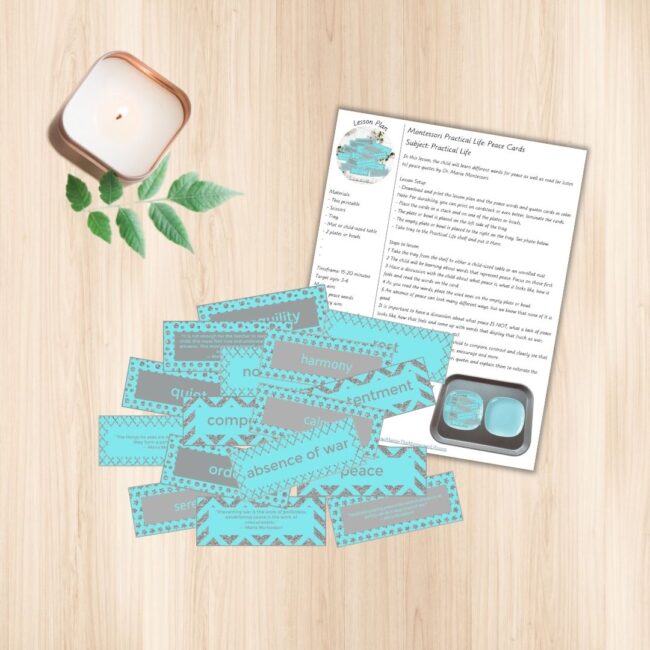 Teaching children about peace is such a consequential lesson that they might carry the rest of their lives, so make it a good one! In this set, you get 12 cards with peace words and 4 cards with Dr. Maria Montessori quotes about peace. This includes the lesson plan with step-by-step instructions.