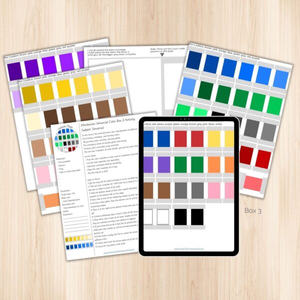 Montessori Sensorial Color Activities - Master the Montessori Life
