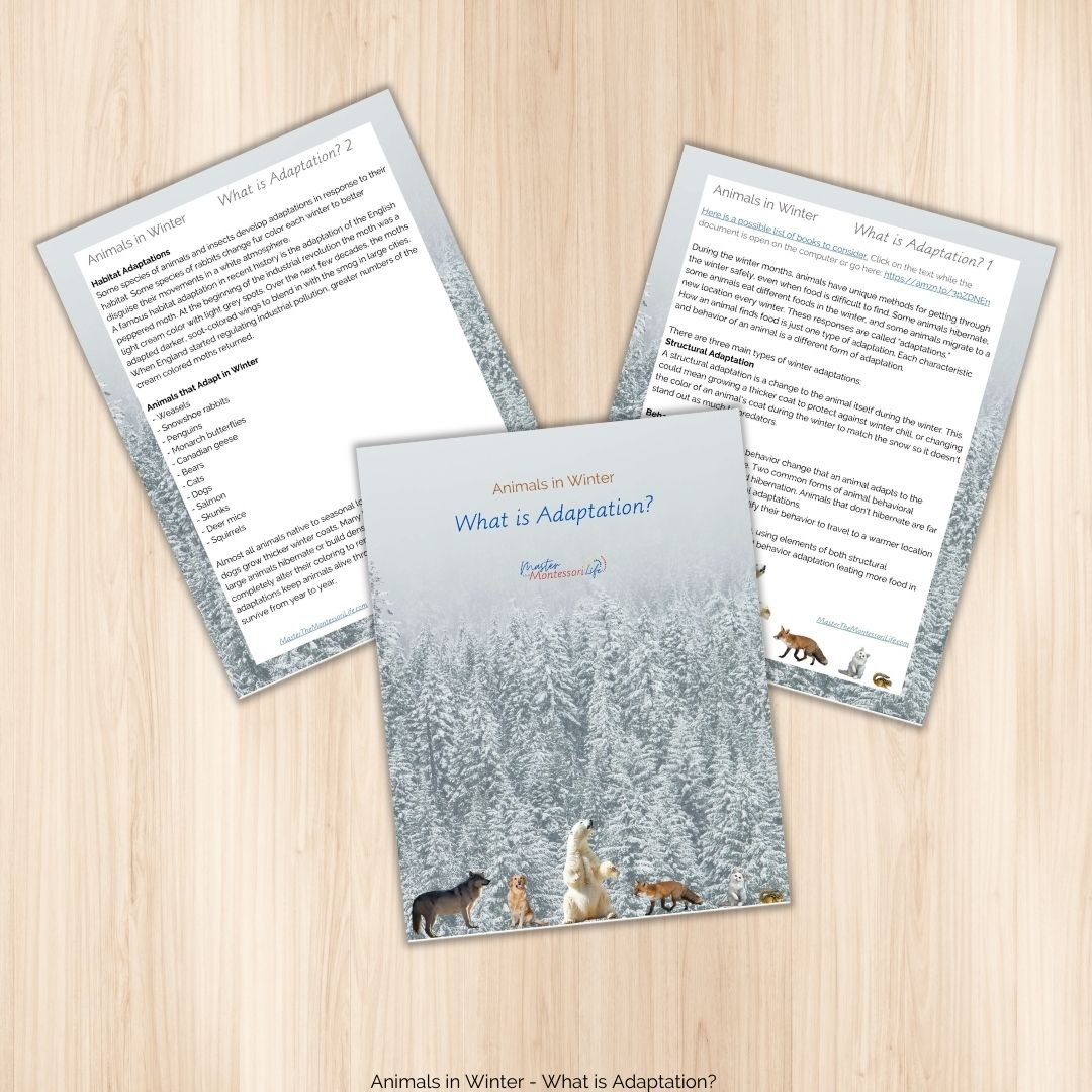 Animals in Winter - What is Adaptation? Topic Overview - Master the  Montessori Life Shop