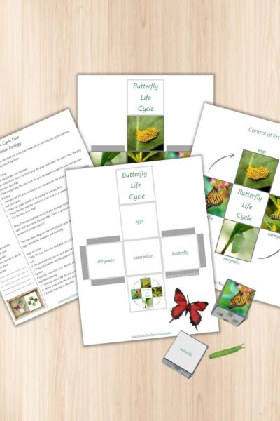 Learn how to teach the butterfly life cycle with a hands-on activity using printable dice. Two printable dice and lesson plan is included.